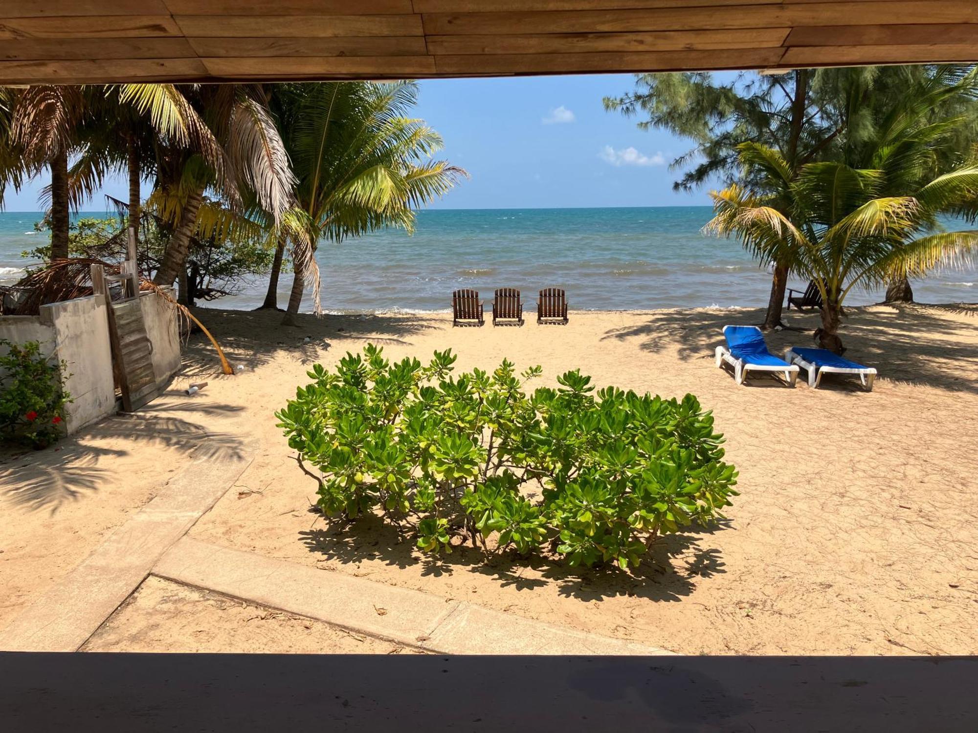 Lost Reef Resort Riversdale Exterior photo